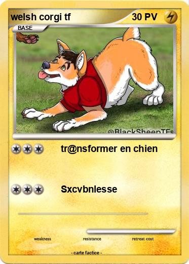 Pokemon welsh corgi tf