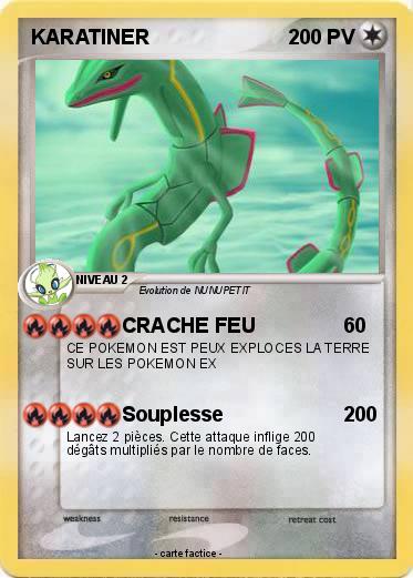 Pokemon KARATINER