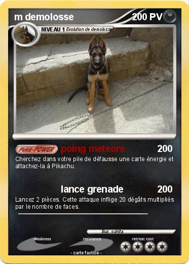 Pokemon m demolosse