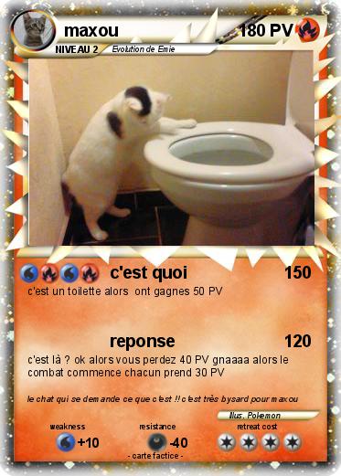 Pokemon maxou