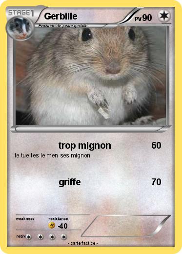 Pokemon Gerbille