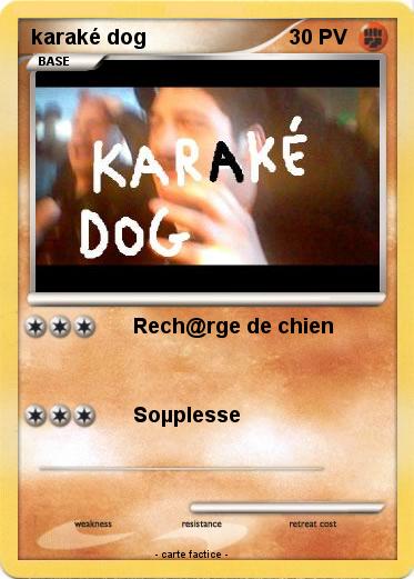 Pokemon karaké dog