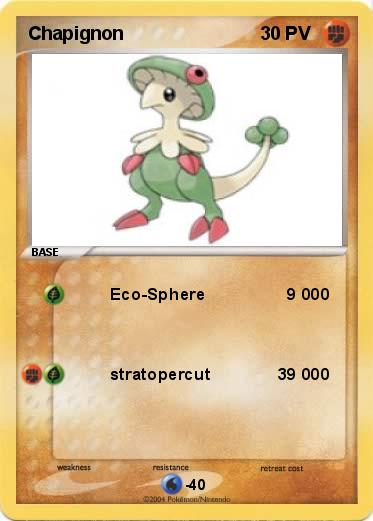Pokemon Chapignon