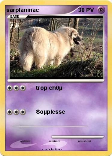 Pokemon sarplaninac