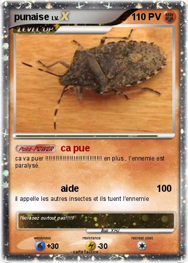 Pokemon punaise