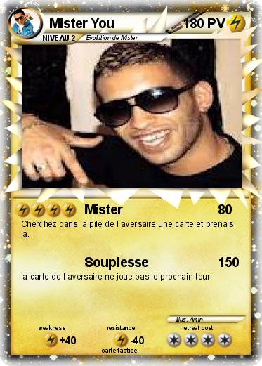 Pokemon Mister You