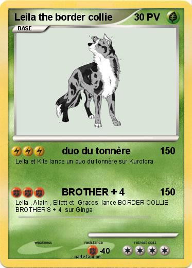 Pokemon Leila the border collie