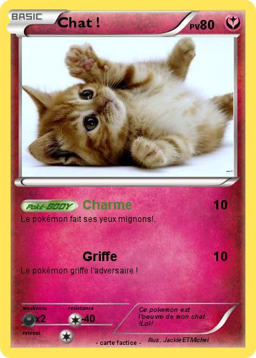 Pokemon Chat !