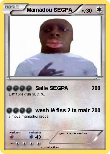Pokemon Mamadou SEGPA