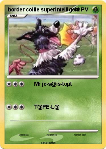 Pokemon border collie superintelligent