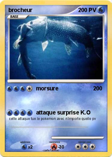 Pokemon brocheur