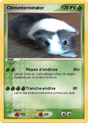 Pokemon Clémenterminator