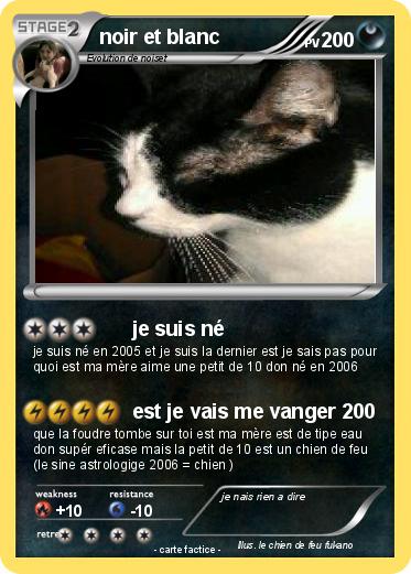 Pokemon noir et blanc