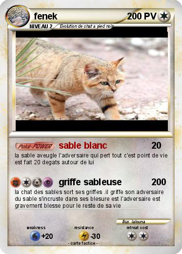 Pokemon fenek