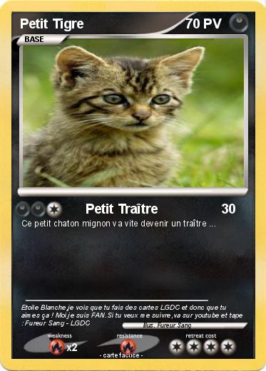 Pokemon Petit Tigre