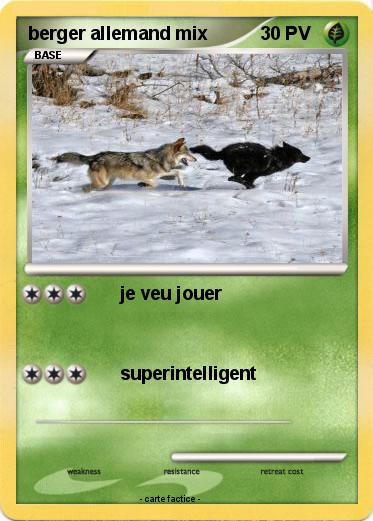 Pokemon berger allemand mix
