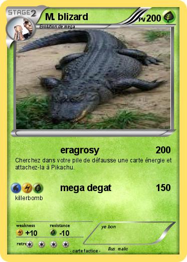 Pokemon M. blizard