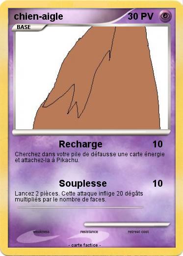 Pokemon chien-aigle