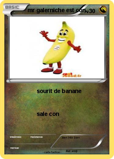 Pokemon mr galerniche est con