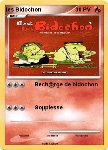 Pokemon les Bidochon