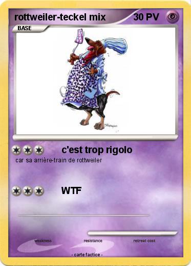 Pokemon rottweiler-teckel mix