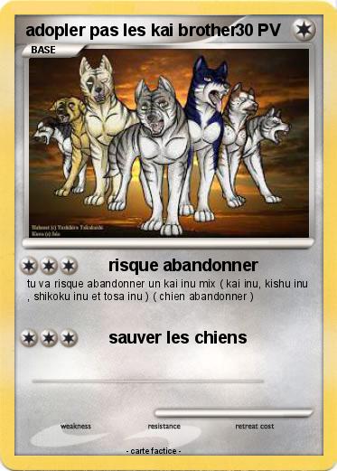 Pokemon adopler pas les kai brother
