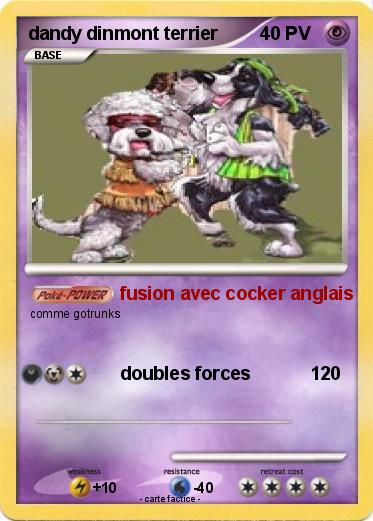 Pokemon dandy dinmont terrier