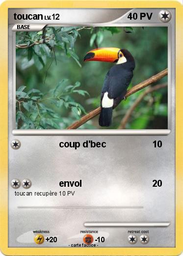 Pokemon toucan