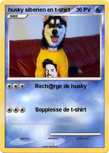 Pokemon husky siberien en t-shirt