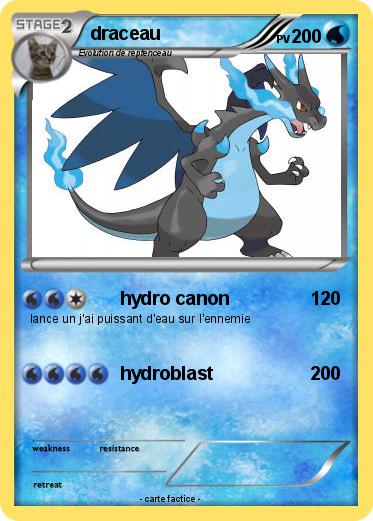Pokemon draceau