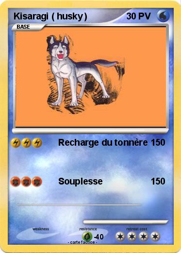 Pokemon Kisaragi ( husky )