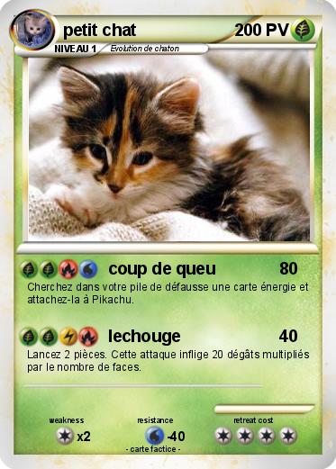Pokemon petit chat