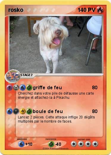Pokemon rosko