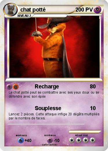 Pokemon chat potté