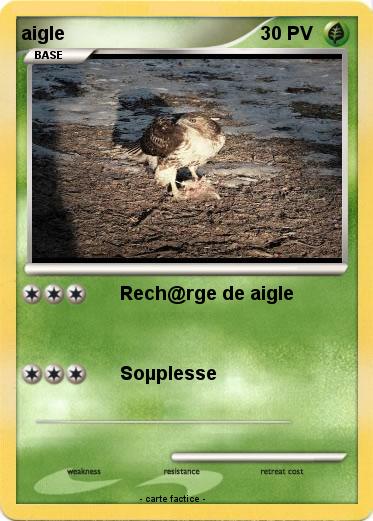 Pokemon aigle