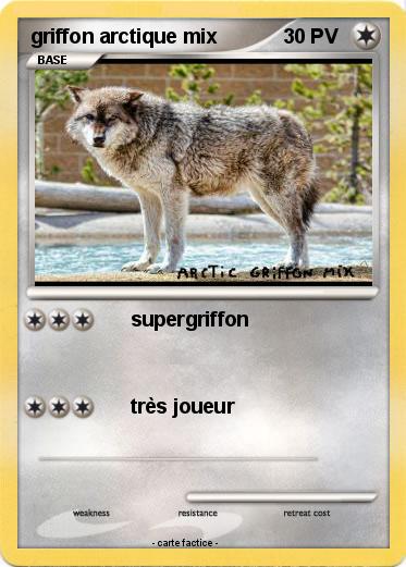 Pokemon griffon arctique mix