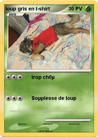 Pokemon loup gris en t-shirt