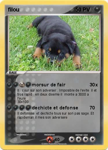 Pokemon filou