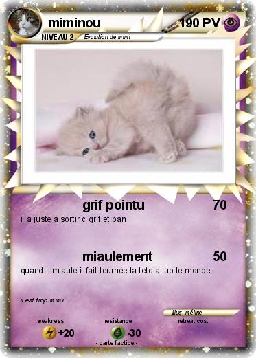 Pokemon miminou