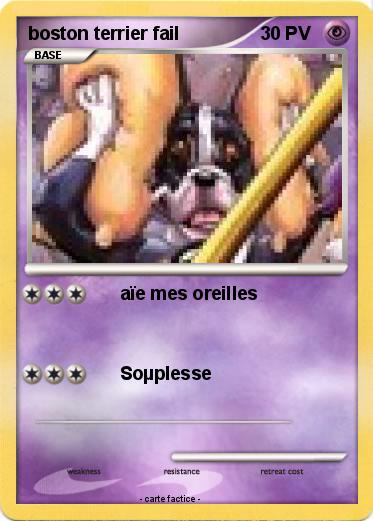Pokemon boston terrier fail