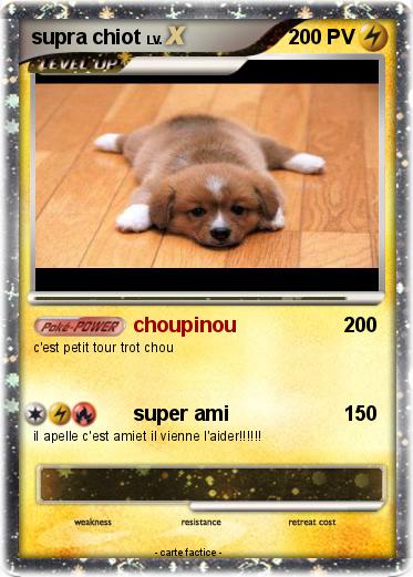 Pokemon supra chiot