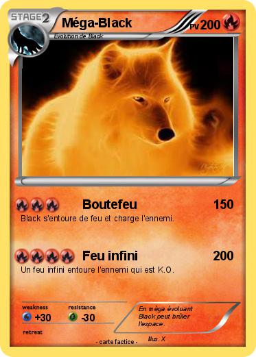 Pokemon Méga-Black