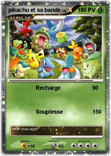 Pokemon pikachu et sa bande