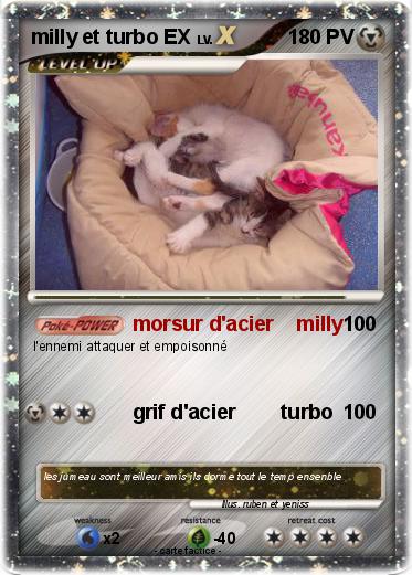 Pokemon milly et turbo EX