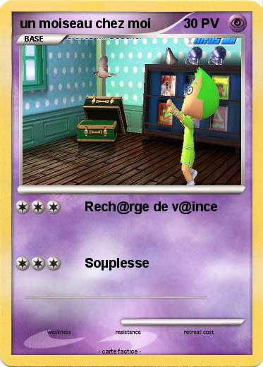 Pokemon un moiseau chez moi