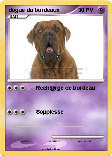 Pokemon dogue du bordeaux