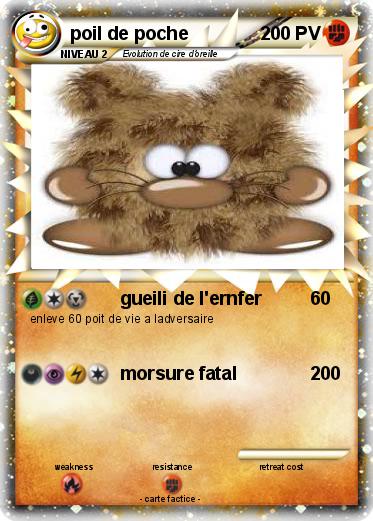 Pokemon poil de poche