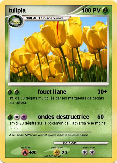 Pokemon tulipia