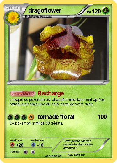 Pokemon dragoflower