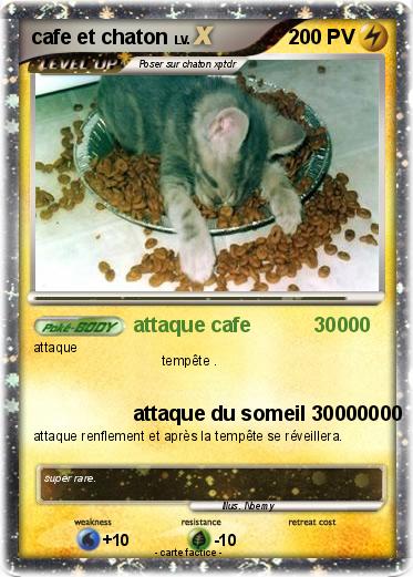 Pokemon cafe et chaton